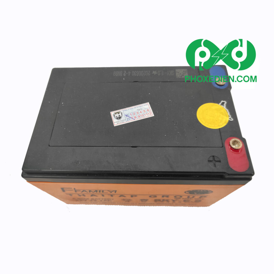 Bình ắc quy cho xe đạp điện Sky-ES 12V-13.1Ah 2 Bình ắc quy cho xe đạp điện Sky-ES 12V-13.1Ah - Ảnh 2