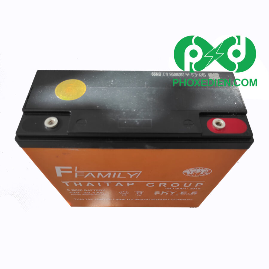 Bình ắc quy cho xe máy điện Sky-ES 12V-22.1Ah 2 Bình ắc quy cho xe máy điện Sky-ES 12V-22.1Ah - Ảnh 2