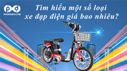 Tim hieu mot so loai xe dap dien gia bao nhieu