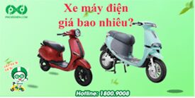 Xe máy điện giá bao nhiêu Dòng xe nào mới nhất