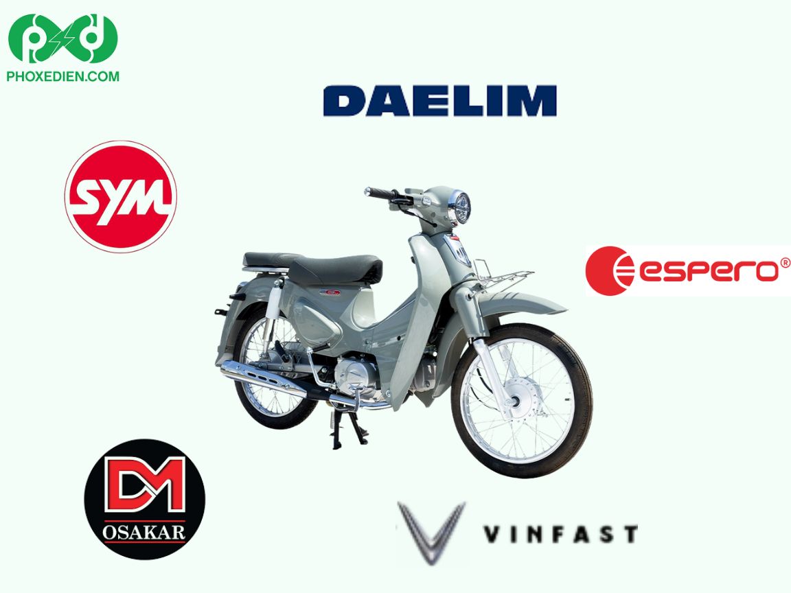 Mua xe 50xx loại nào tốt?