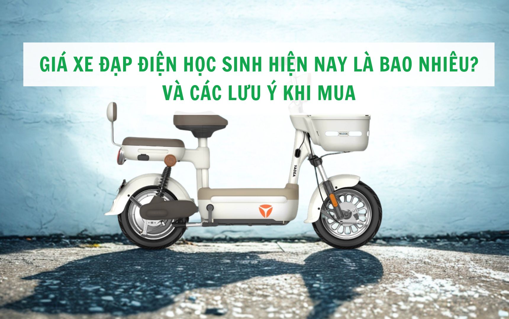 Giá xe đạp điện học sinh hiện nay là bao nhiêu