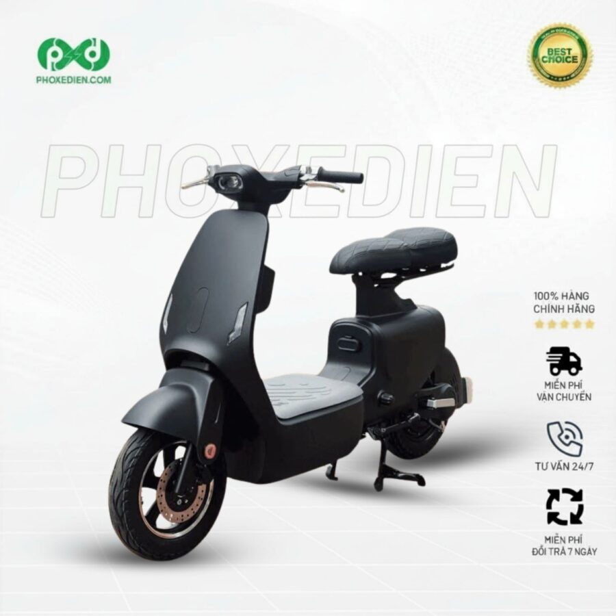 Xe điện V1 Plus